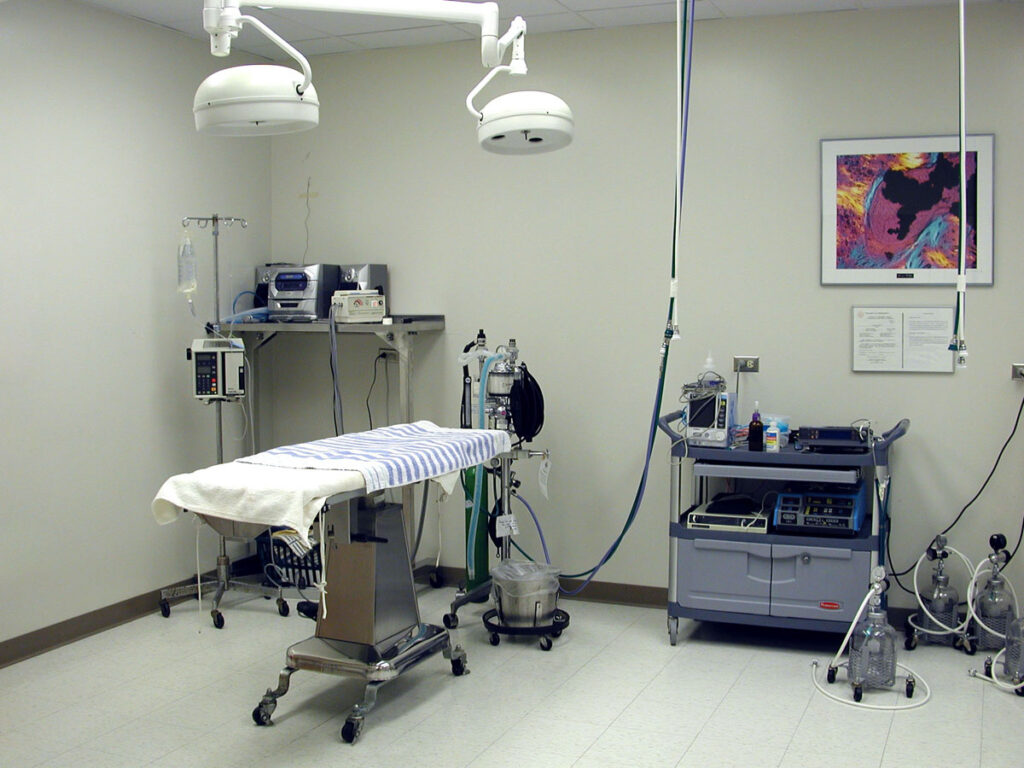 Surgery 2