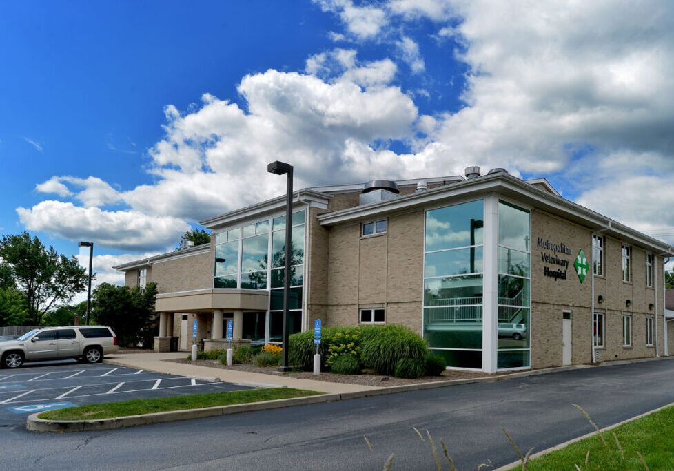 Hospital-Exterior